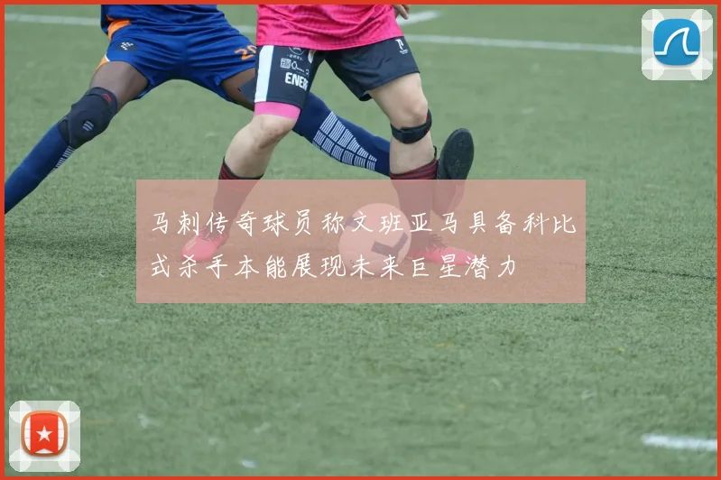 马刺传奇球员称文班亚马具备科比式杀手本能展现未来巨星潜力